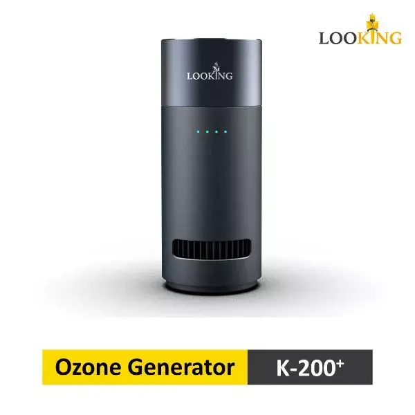 Portable Ozone Generator