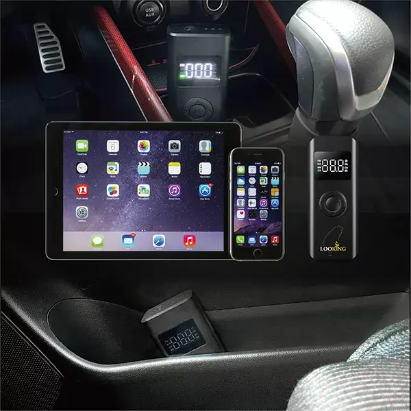 Portable Inflator