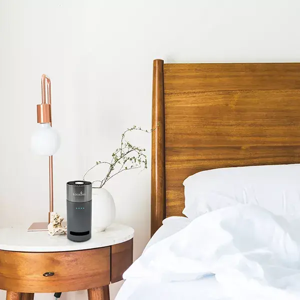Portable Ozone Generator
